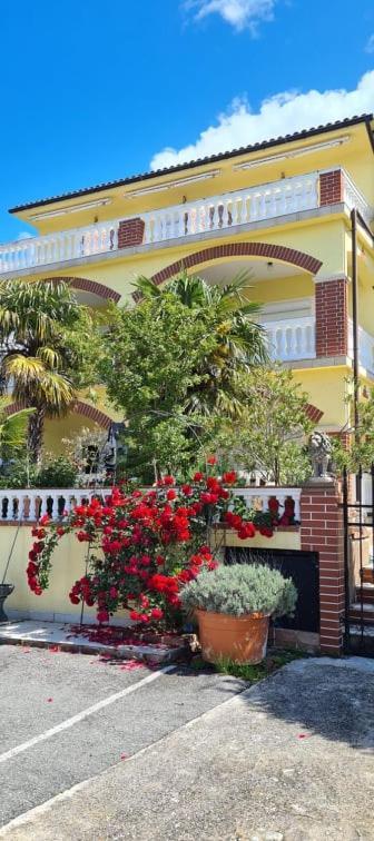 Bed & Breakfast Barbara Novi Vinodolski Εξωτερικό φωτογραφία